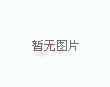 阿尔巴尼亚在附加赛出局，世界杯恐历史上首次无巴西籍主帅